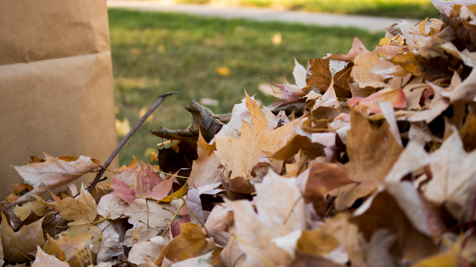 Fall Garden CleanUp Tidy Time Saver